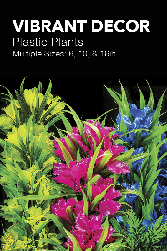 Vibrant colors